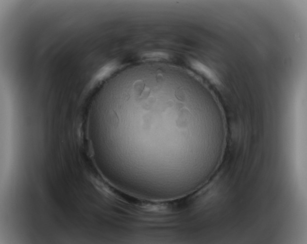 X0000086791403200704201834
