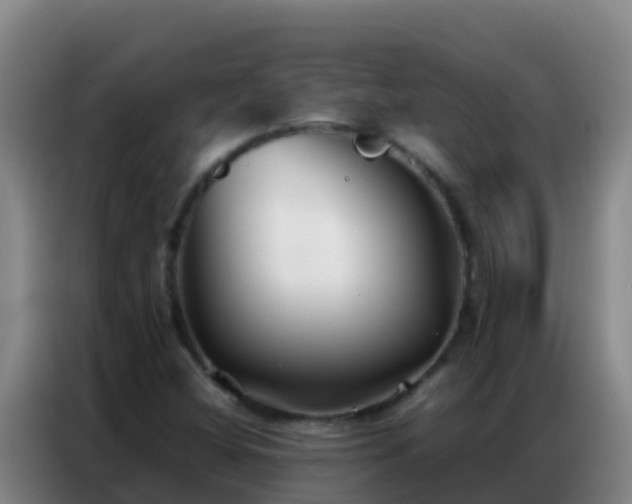 X0000086791404200704201834