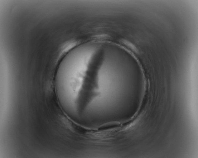 X0000086791405200704201834