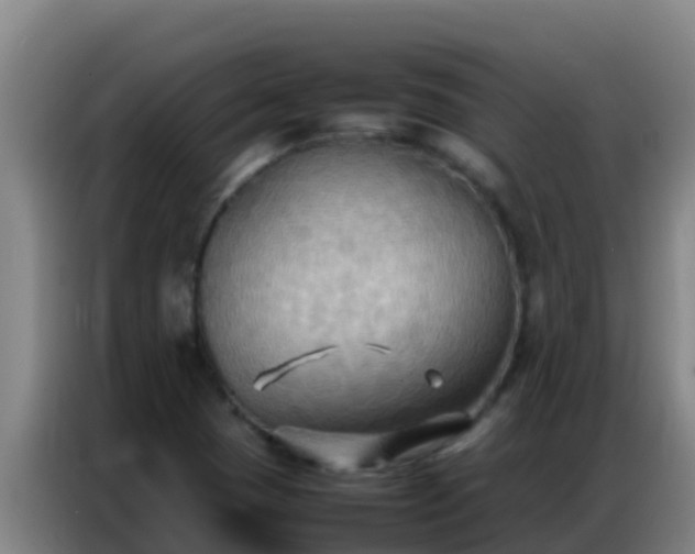 X0000086791409200704201835