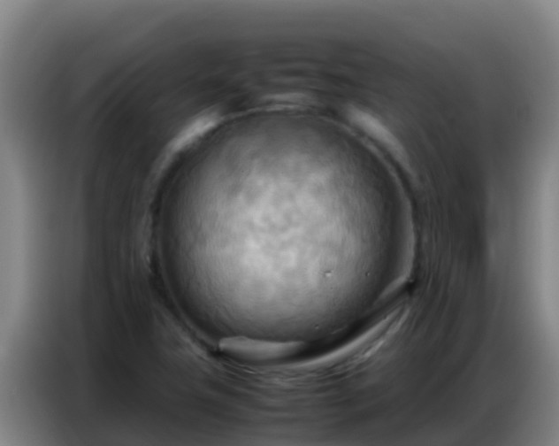 X0000086791411200704201835