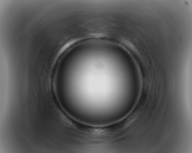X0000086791412200704201835
