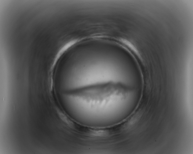 X0000086791413200704201835