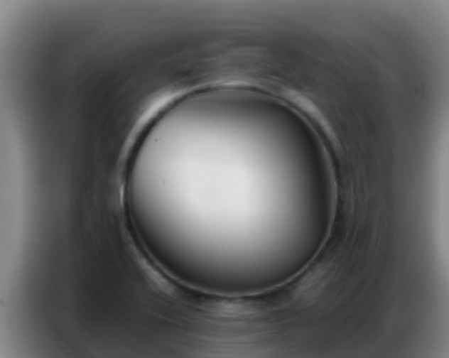 X0000086791416200704201835