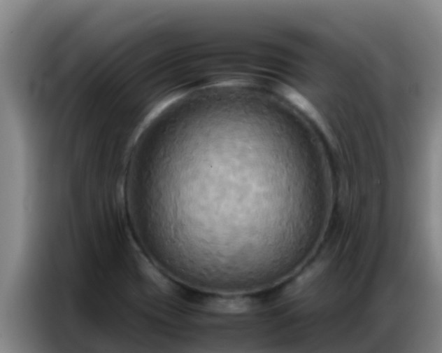 X0000086791417200704201835