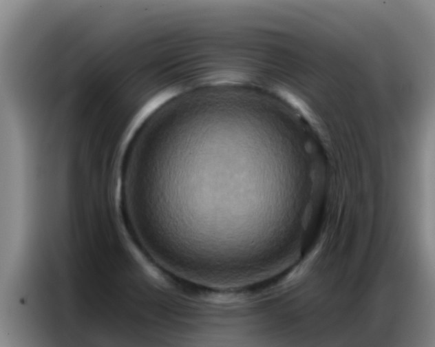 X0000086791418200704201835