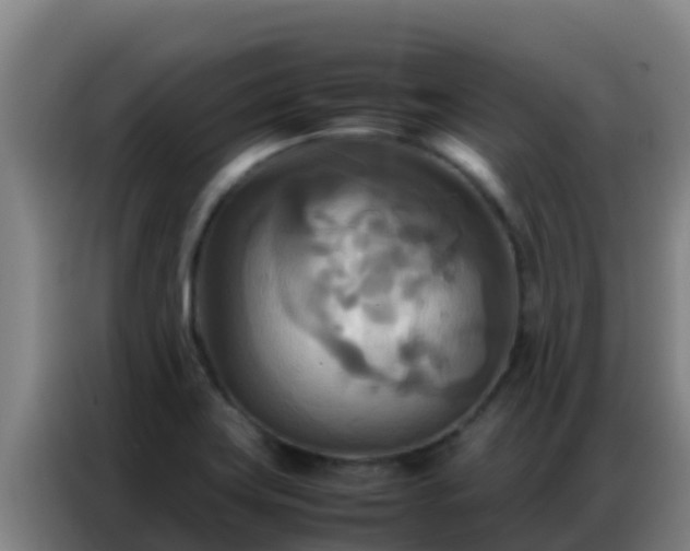 X0000086791419200704201835