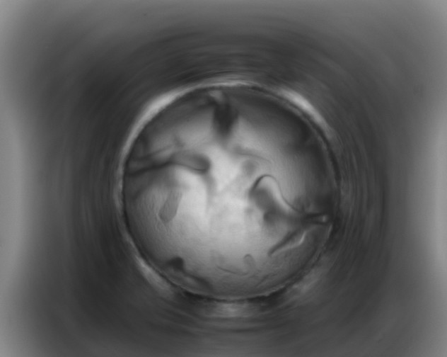 X0000086791421200704201835