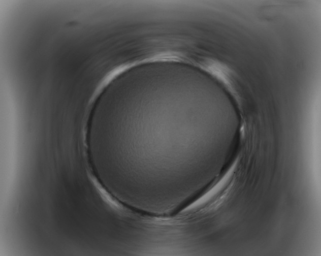 X0000086791422200704201835