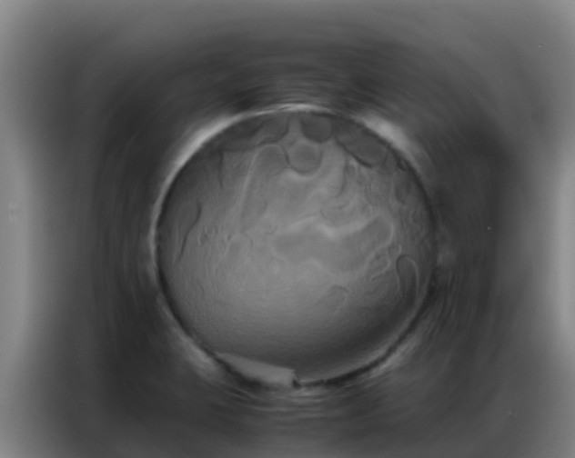 X0000086791423200704201835