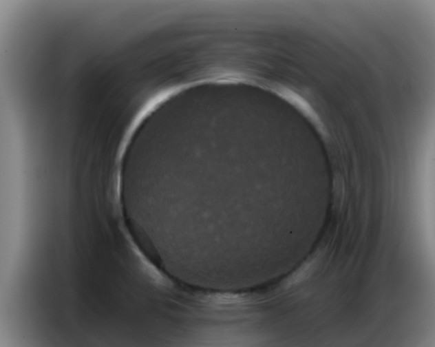 X0000086791424200704201835