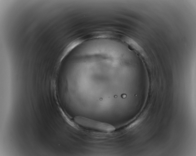 X0000086791425200704201835