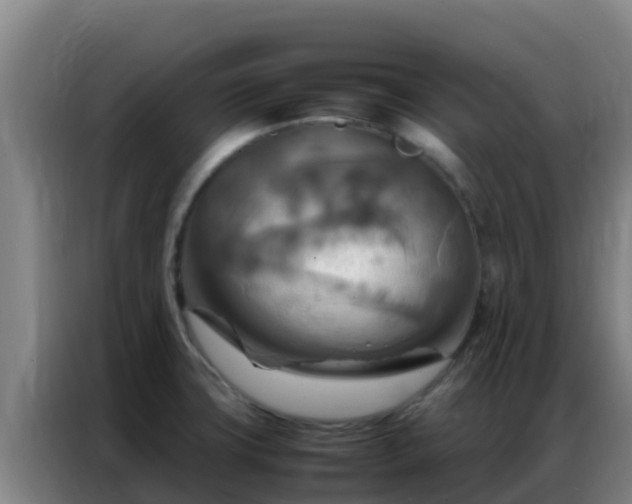 X0000086791427200704201835