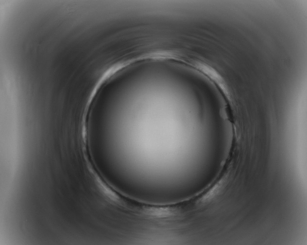 X0000086791428200704201835