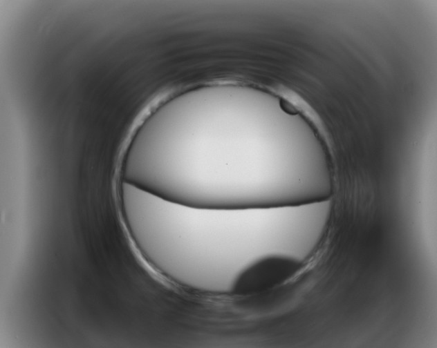 X0000086791429200704201835