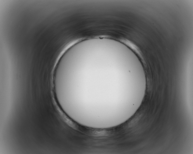 X0000086791431200704201835