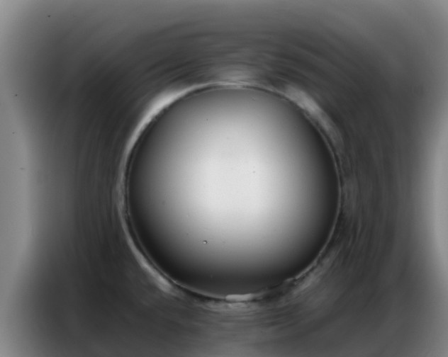 X0000086791432200704201835