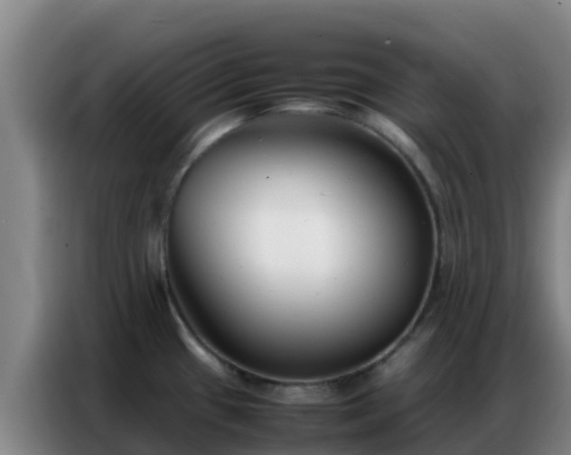 X0000086791433200704201835