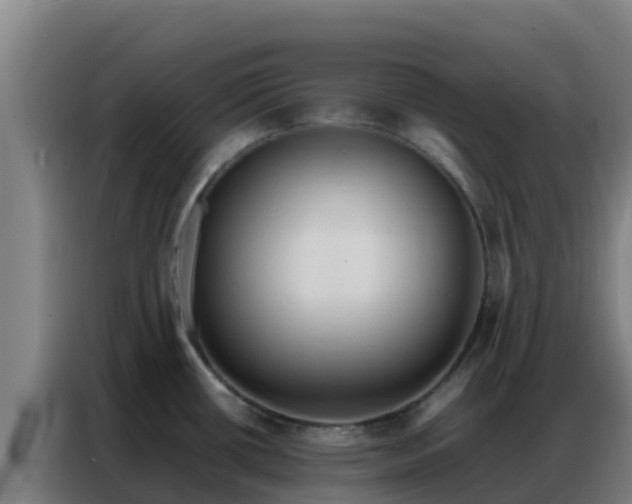 X0000086791434200704201835