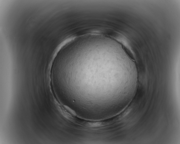 X0000086791435200704201835