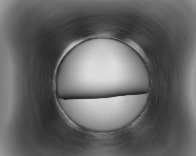 X0000086791436200704201835