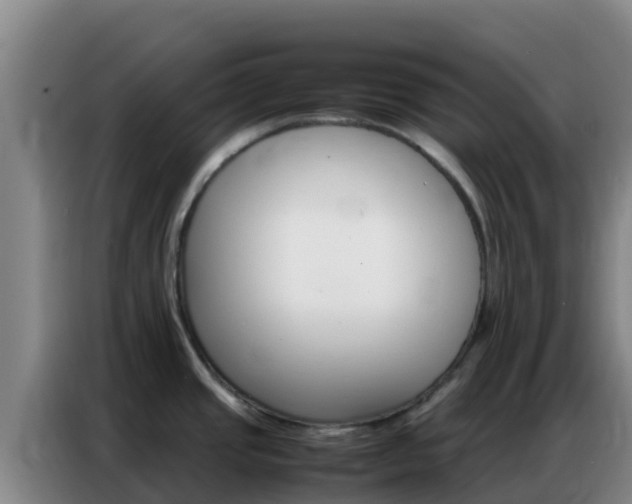 X0000086791437200704201835