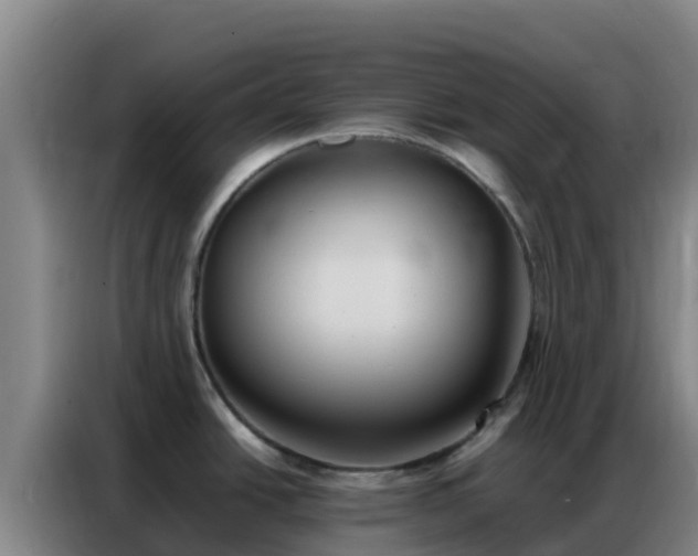 X0000086791438200704201835