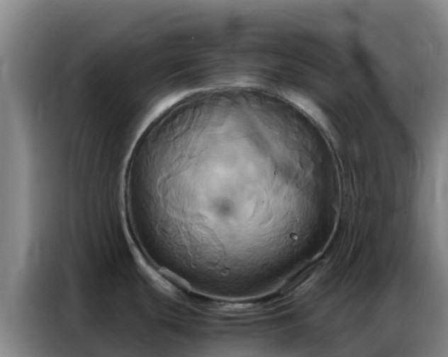 X0000086791439200704201835