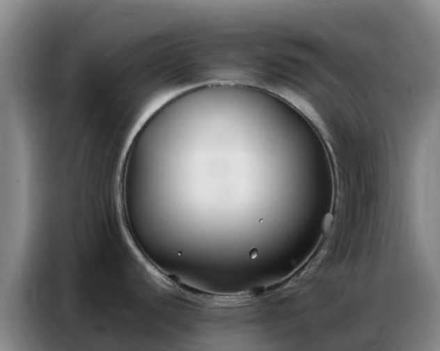 X0000086791440200704201835