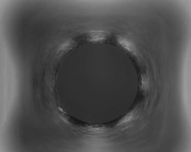 X0000086791441200704201834