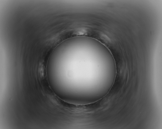 X0000086791442200704201834