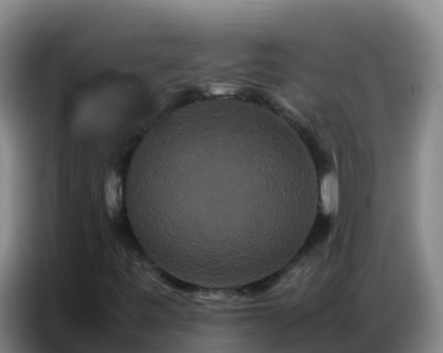 X0000086791443200704201834