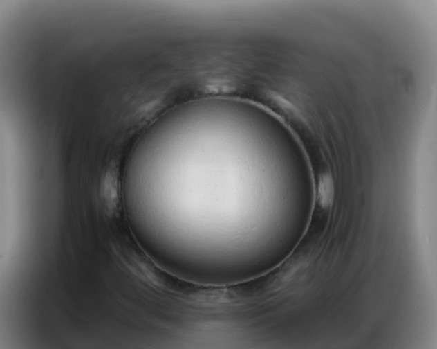 X0000086791444200704201834