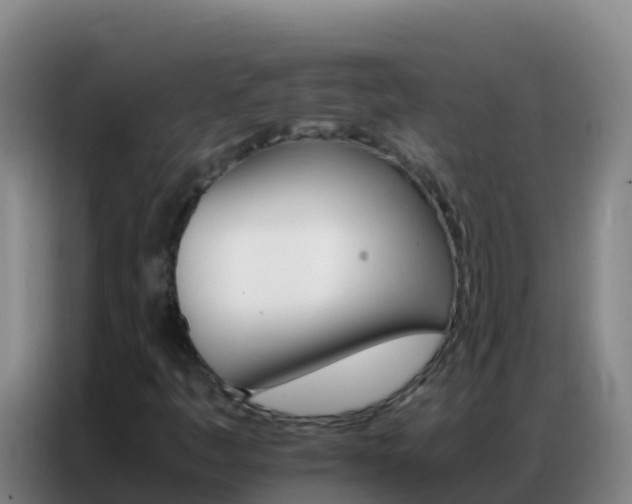 X0000086791445200704201834