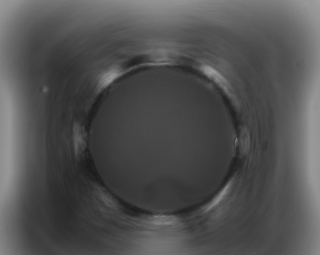 X0000086791449200704201834