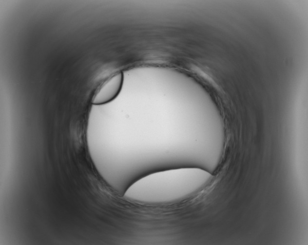 X0000086791451200704201834