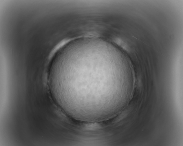 X0000086791454200704201834