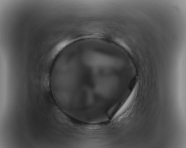 X0000086791455200704201834