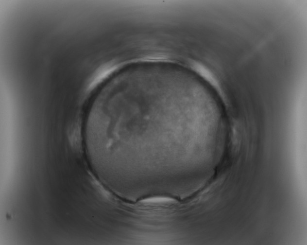 X0000086791456200704201834