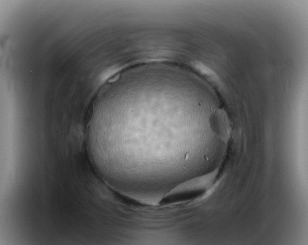 X0000086791457200704201834