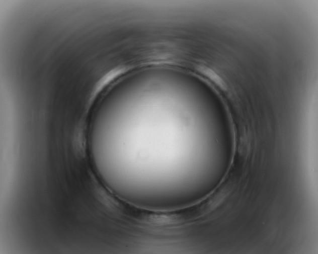 X0000086791458200704201834