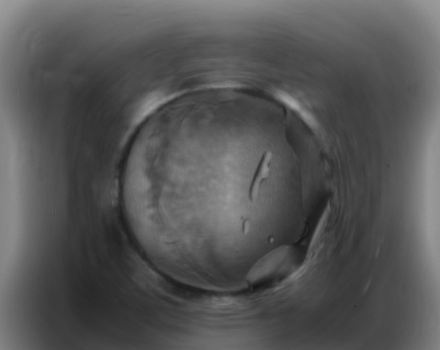 X0000086791459200704201834