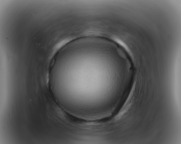 X0000086791461200704201834