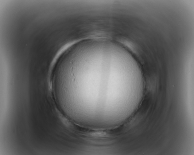 X0000086791462200704201834