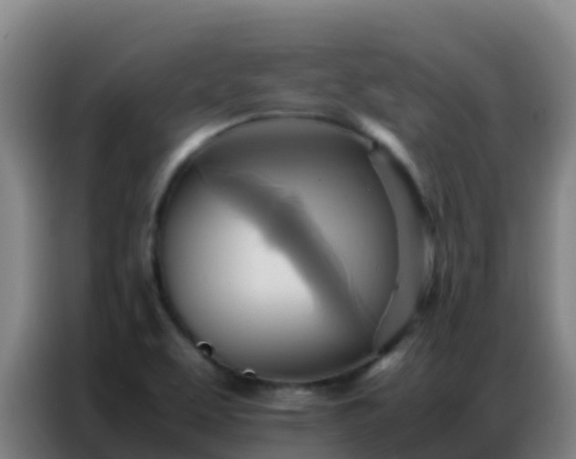 X0000086791463200704201834