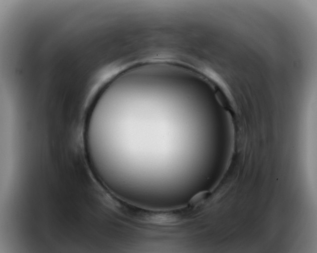X0000086791464200704201834