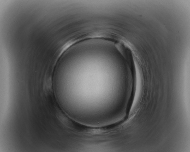 X0000086791465200704201834