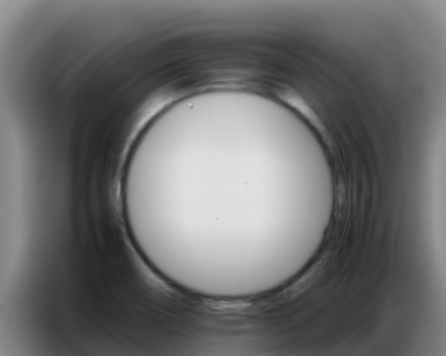 X0000086791466200704201834