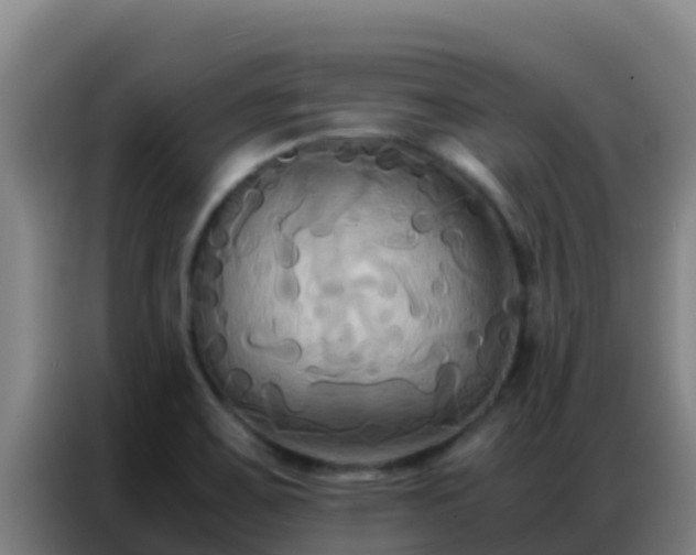 X0000086791467200704201834