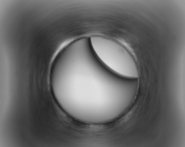 X0000086791469200704201834